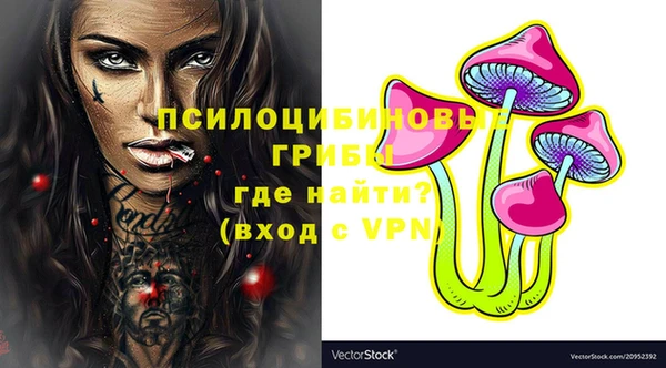 Альфа ПВП Новокубанск