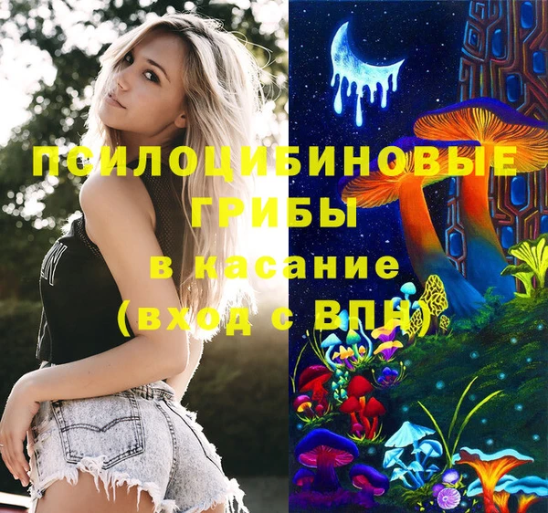 jwh Новозыбков