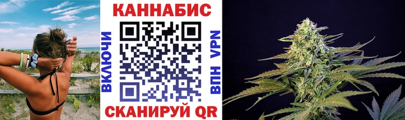Купить закладки  Рязань  МАРИХУАНА сатива 